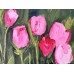 Tulips paradise-  original oil, painting  on canvas by Ukrainian artist, Marina  Stognieva 